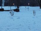 Schneebilder 2012